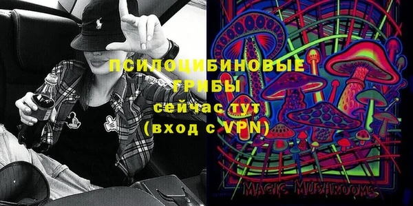 соль ск Абаза