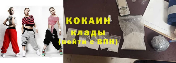 соль ск Абаза