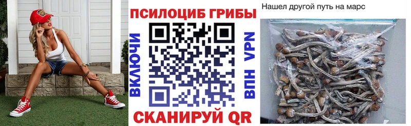 Псилоцибиновые грибы Cubensis  даркнет сайт  Кедровый 